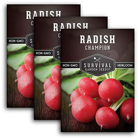 Champion Radish Seed