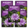 Bergamot (Bee Balm) Seeds