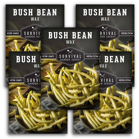 Golden Wax Bush Bean Seed