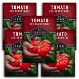 Brandywine Red Tomato Seeds