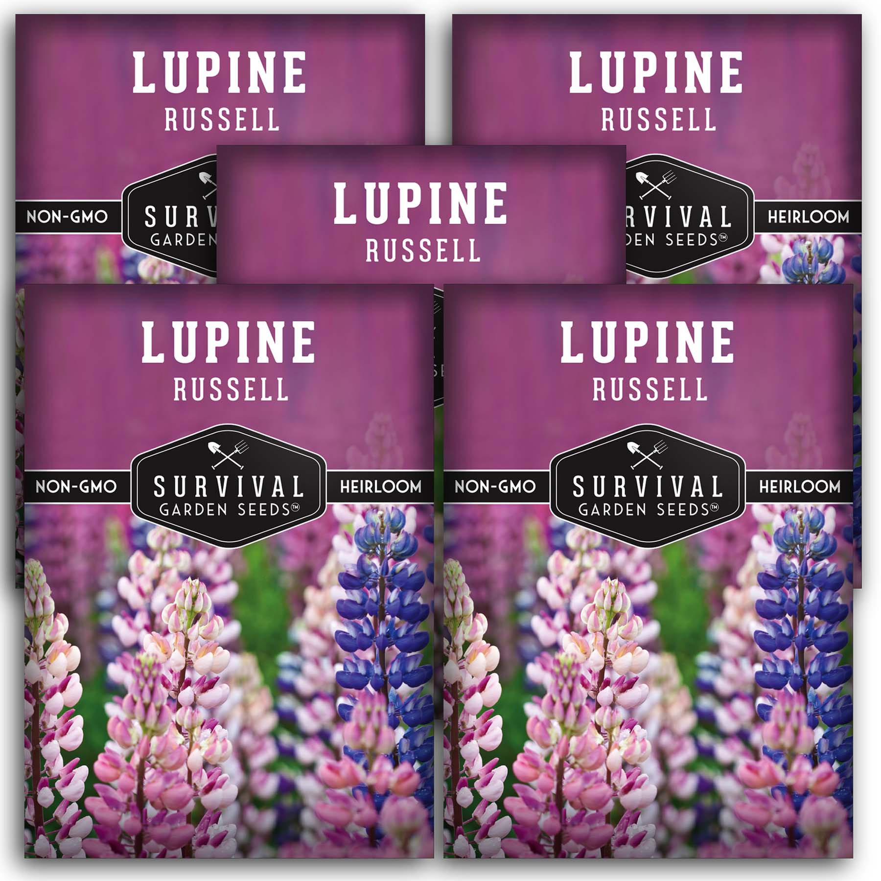 Russell Lupine Seeds – Perennial Wildflower Mix – SurvivalGardenSeeds