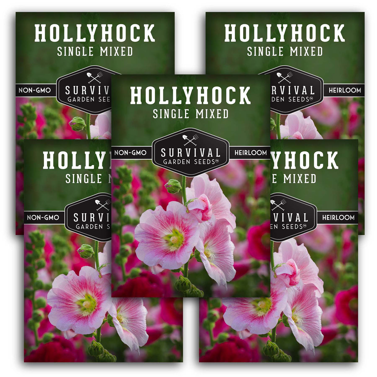 Single Mixed Hollyhock Seeds