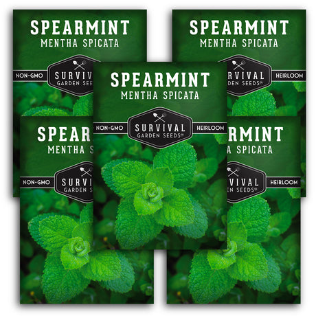 5 packets of Spearmint seeds