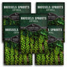 5 packs of brussels sprouts seeds