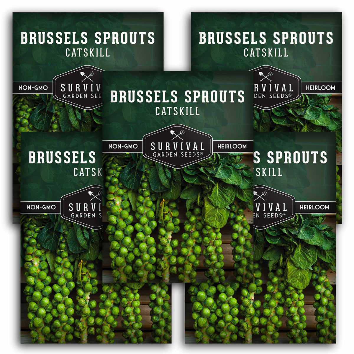5 packs of brussels sprouts seeds