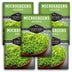 5 Packets of Arugula Microgreens seeds