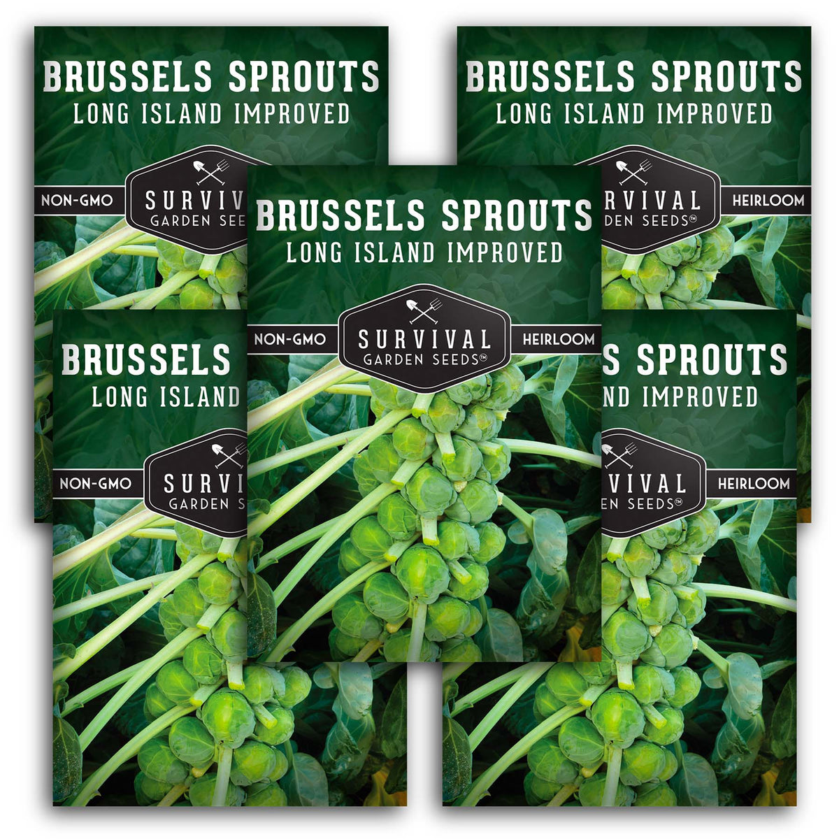 Long Island Improved Brussels Sprouts Seeds