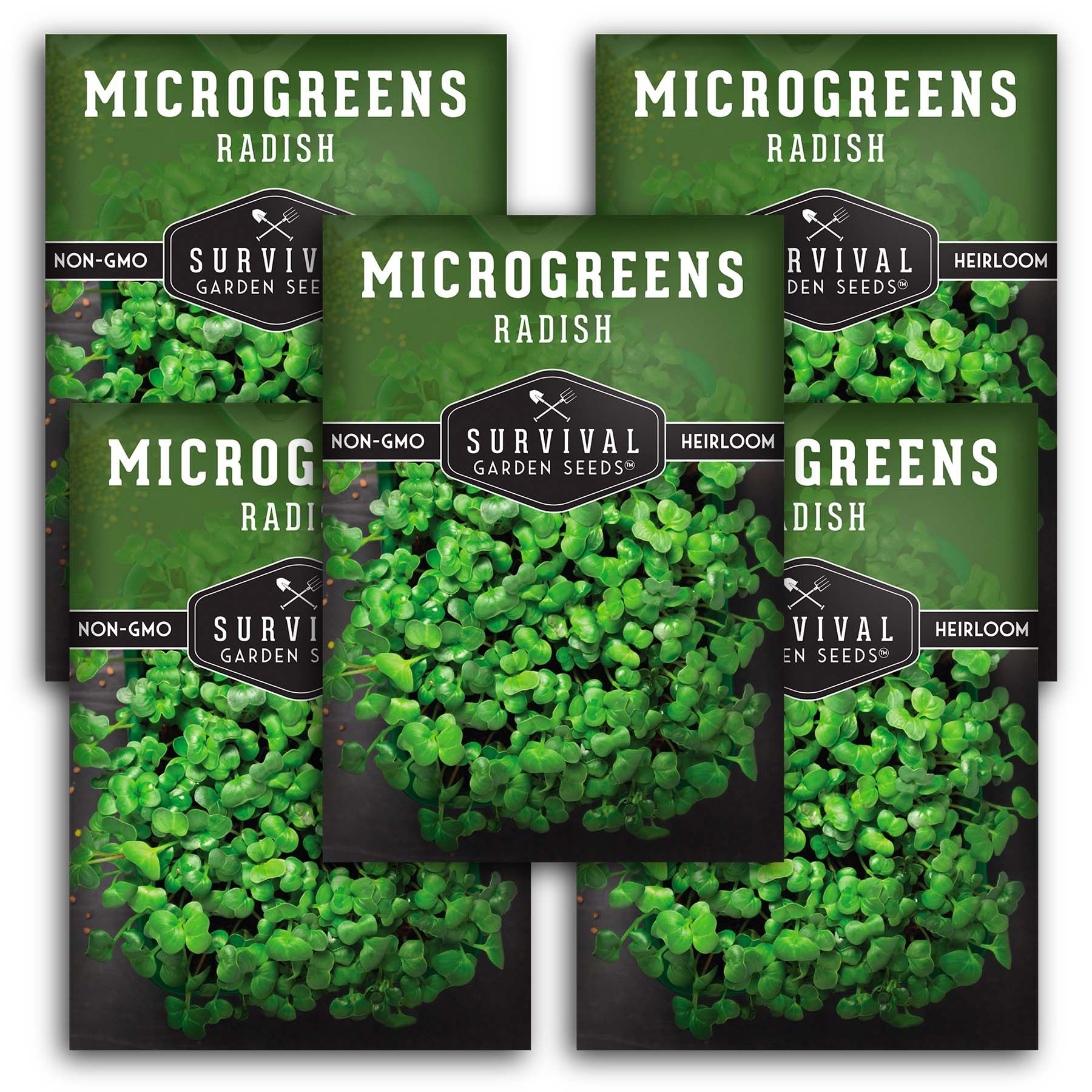 15+ Radish Microgreen Seed Density Radish Microgreens Seeds for Sprouting - SurvivalGardenSeeds
