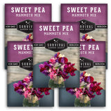 Mammoth Sweet Pea Seed Mix