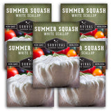 White Scallop Summer Squash Seeds