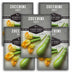 5 Packets of Grey Zucchini seeds