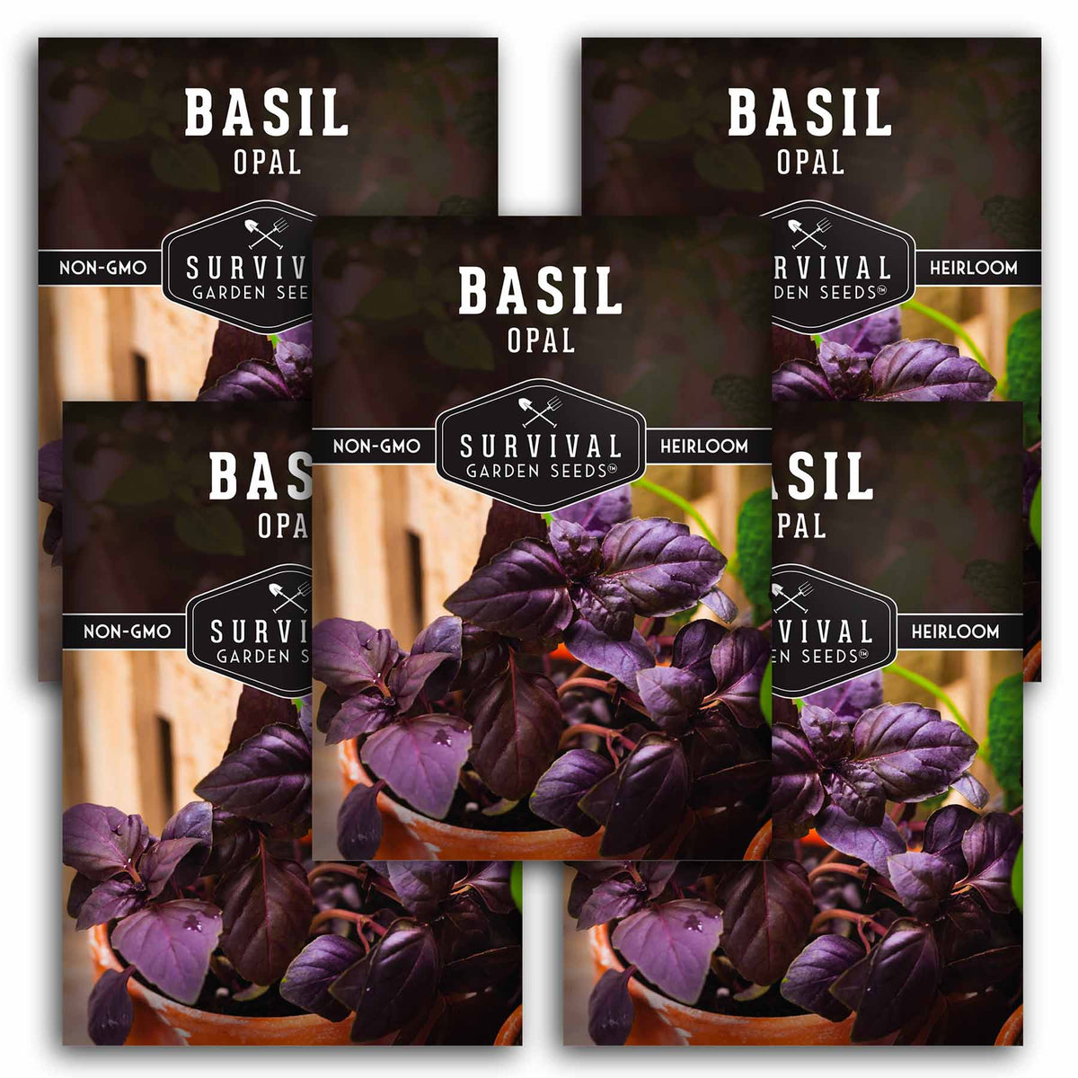5 packs of opal basil seeds