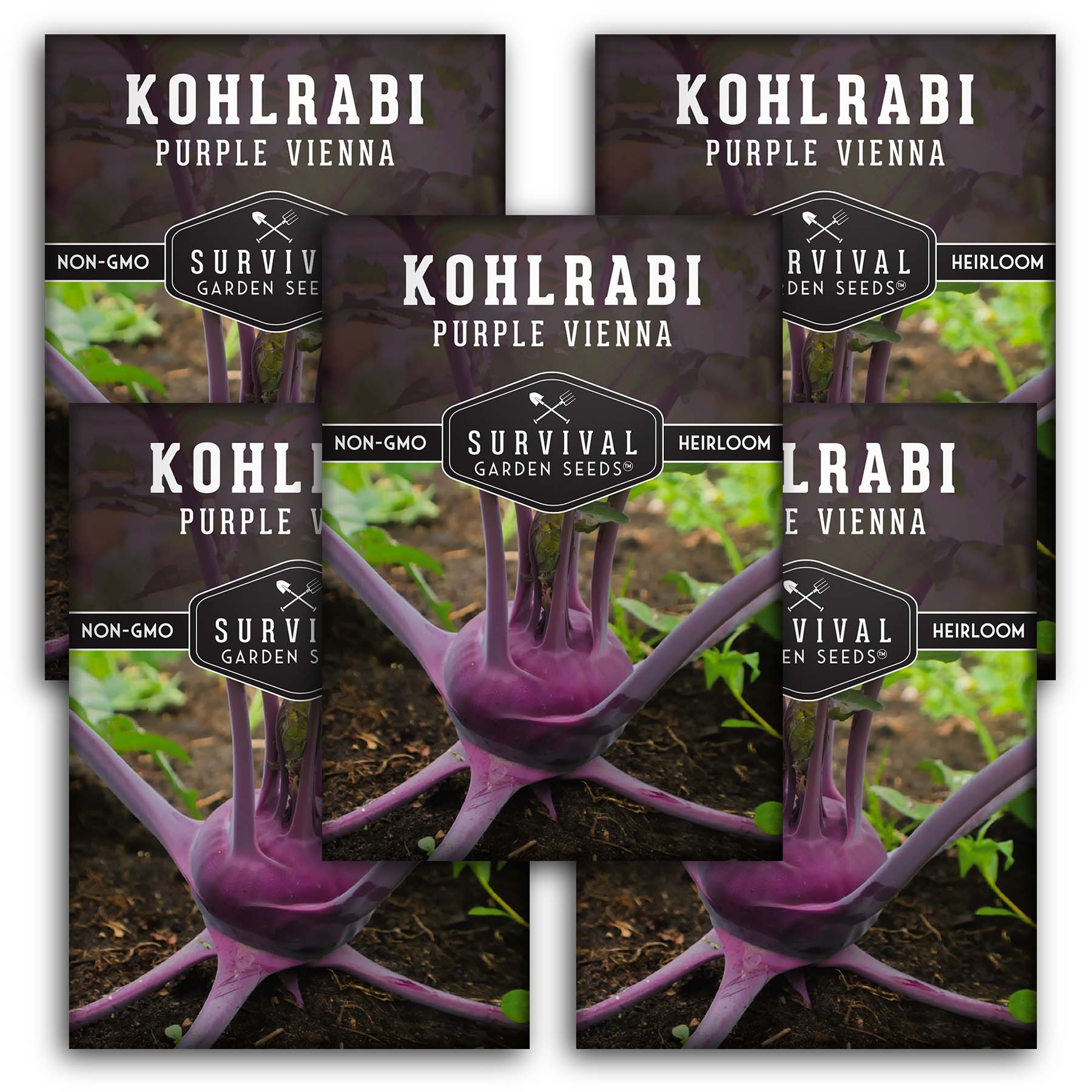 Purple Vienna Kohlrabi Seeds – Heirloom Cole Crop