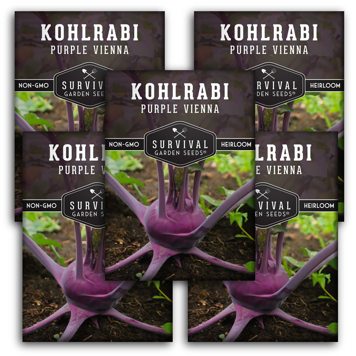 Purple Vienna Kohlrabi Seed