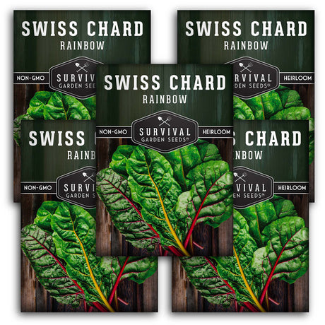 5 Packets of Rainbow Swiss Chard seeds