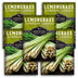 5 Packets of Lemongrass seeds