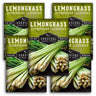 Lemongrass Seeds