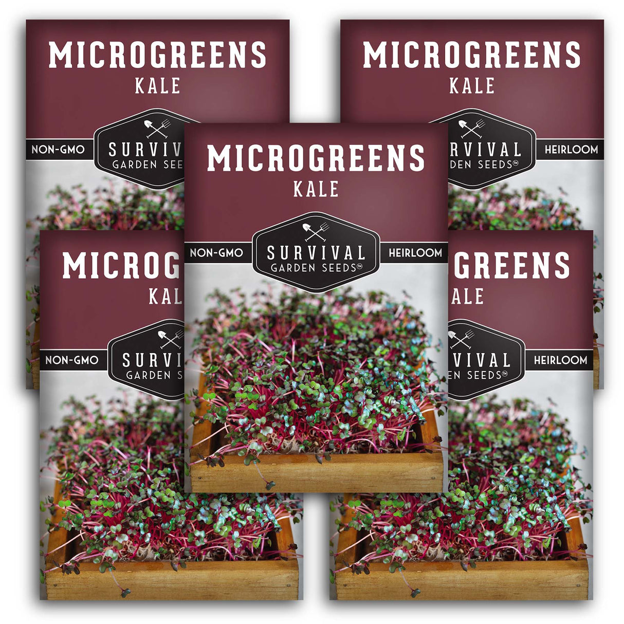 Kale Microgreen Seeds