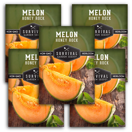 Honey Rock Melon Seeds