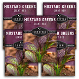 Giant Red Mustard Greens Seeds