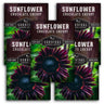 Chocolate Cherry Sunflower Seeds