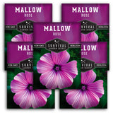 5 Packets of Rose Mallow Seeds