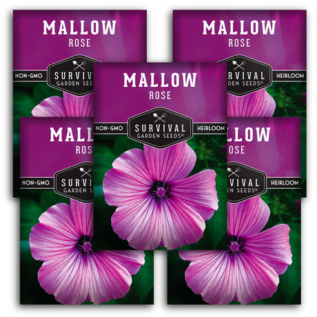 Rose Mallow Seeds