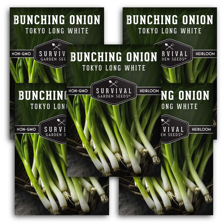 Tokyo Long White Onion Seeds - Bunching Onion