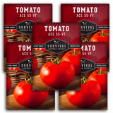 Ace 55-VF Tomato Seeds