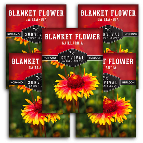 Blanket Flower Seeds