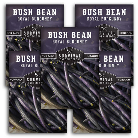 Royal Burgundy Bush Bean Seed