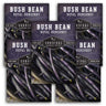 Royal Burgundy Bush Bean Seed