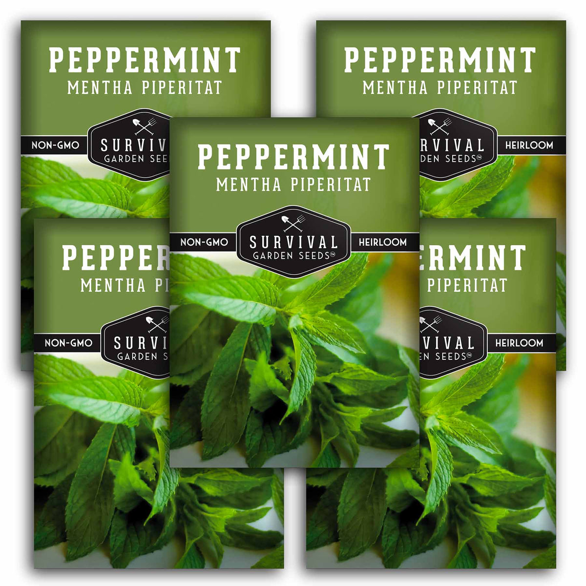 5 packets of peppermint seeds