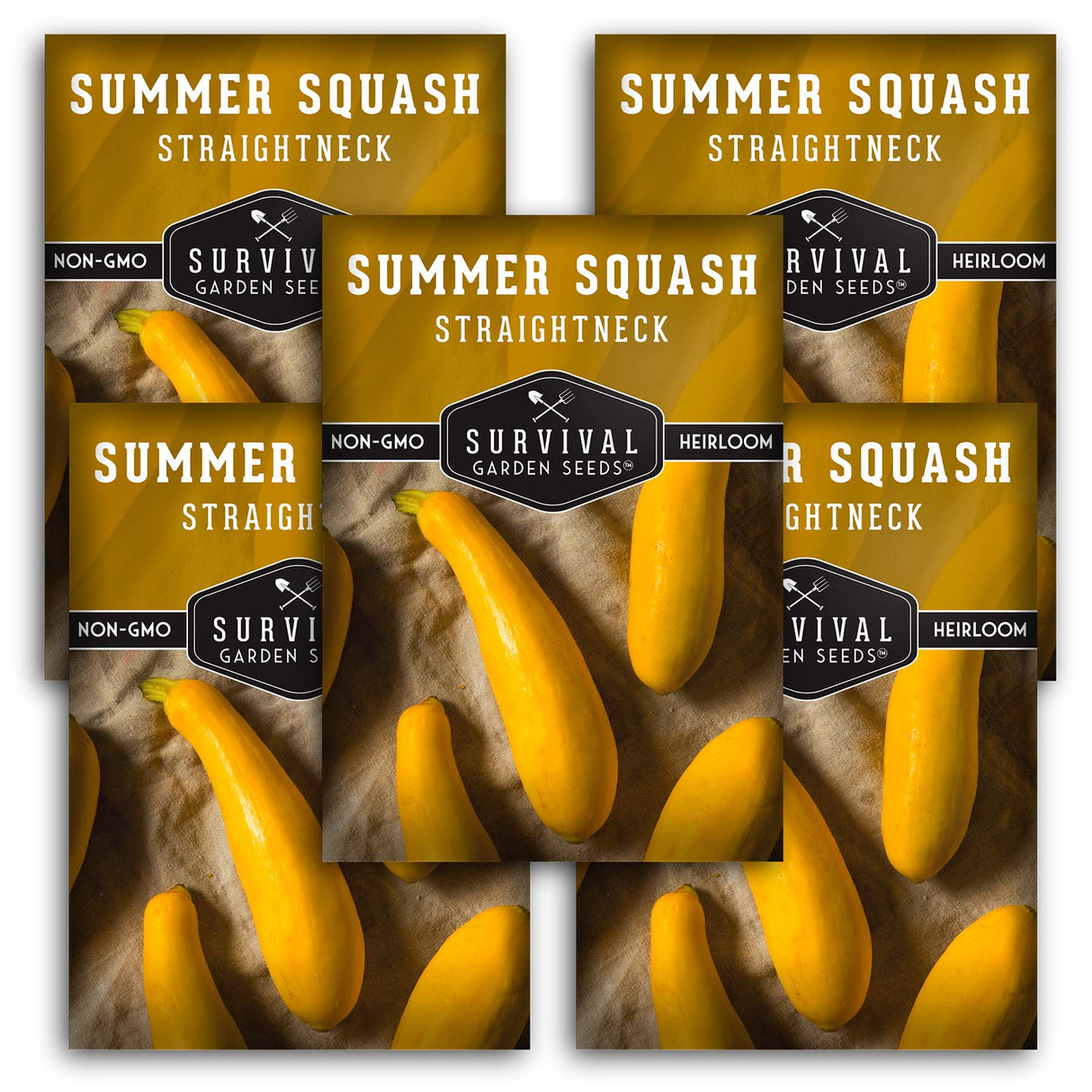 Straightneck Summer Squash Seed