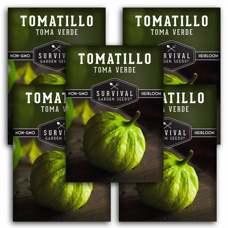 5 Packets of Toma Verde Tomatillo seeds