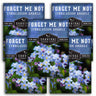 Forget Me Not Seed