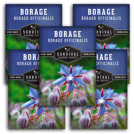 Borage Seeds