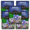 Borage Seeds