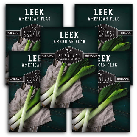 Large American Flag Leek Seeds