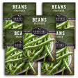 5 Packets of Provider Bean seeds