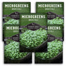 Broccoli Microgreens Seeds