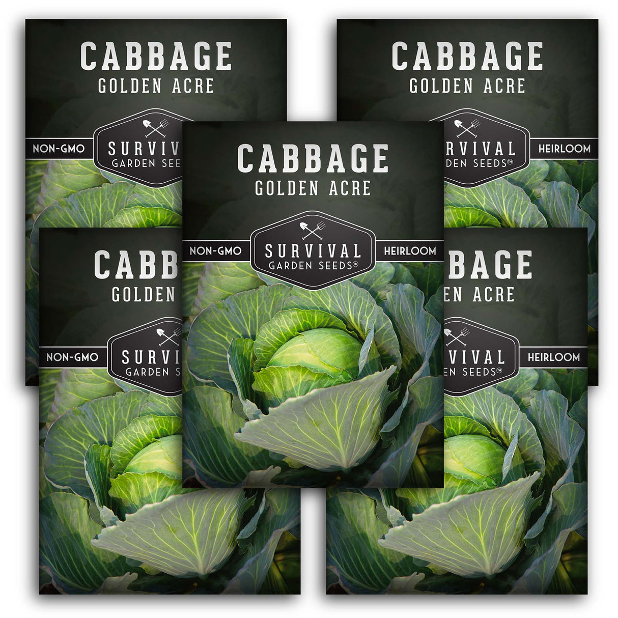 5 Packets of Golden Acre Cabbage seeds