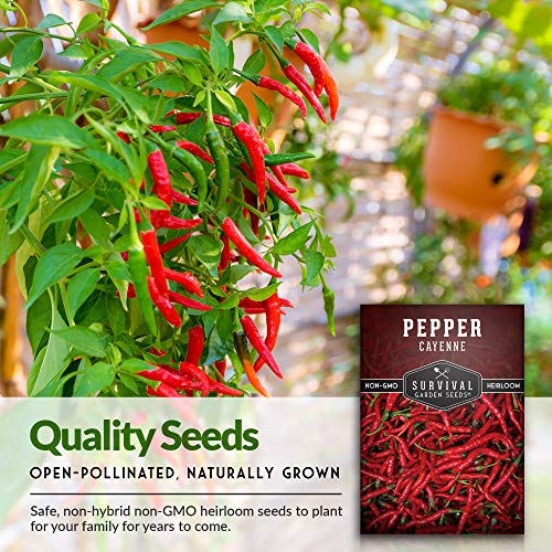 Red Hot Cayenne Pepper Seed