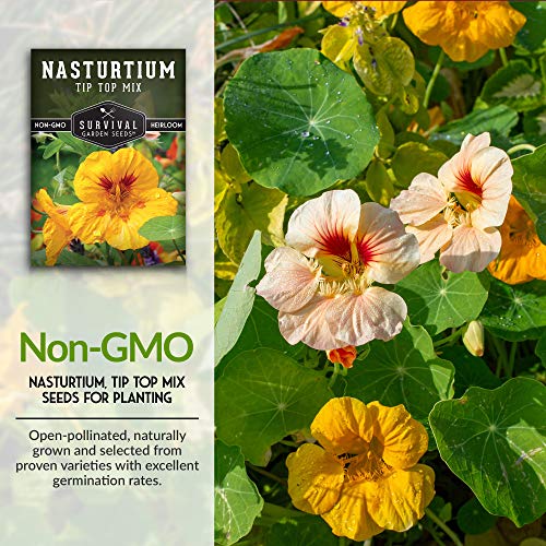 Tip Top Mix Nasturtium Seed