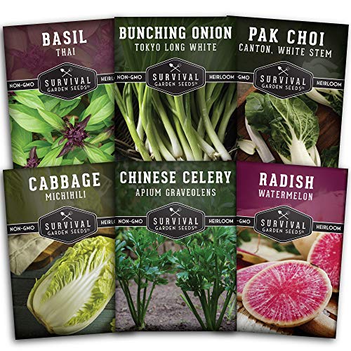 Asian Vegetable Collection - Thai Basil, Napa Cabbage, Canton Pak Choi, Chinese Celery, Green Onions, Watermelon Radish