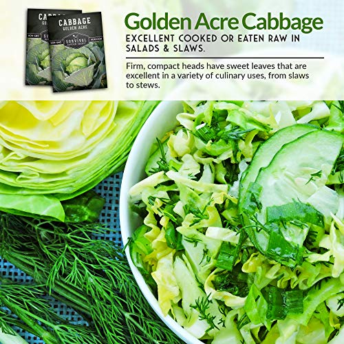 Golden Acres Green Cabbage Seed