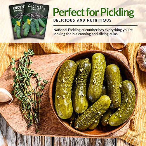 National Pickling Cucumber Seed