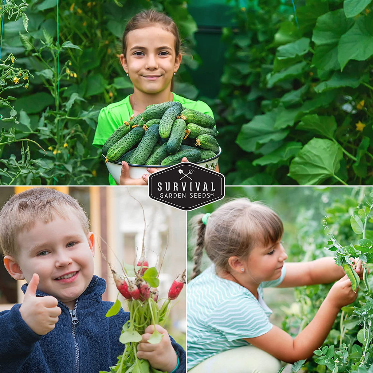 Easy to grow vegetables for kids to plant