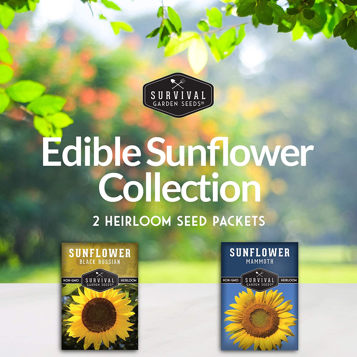 Edible Sunflower Seed Collection