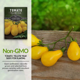 Yellow Pear Tomato Seed